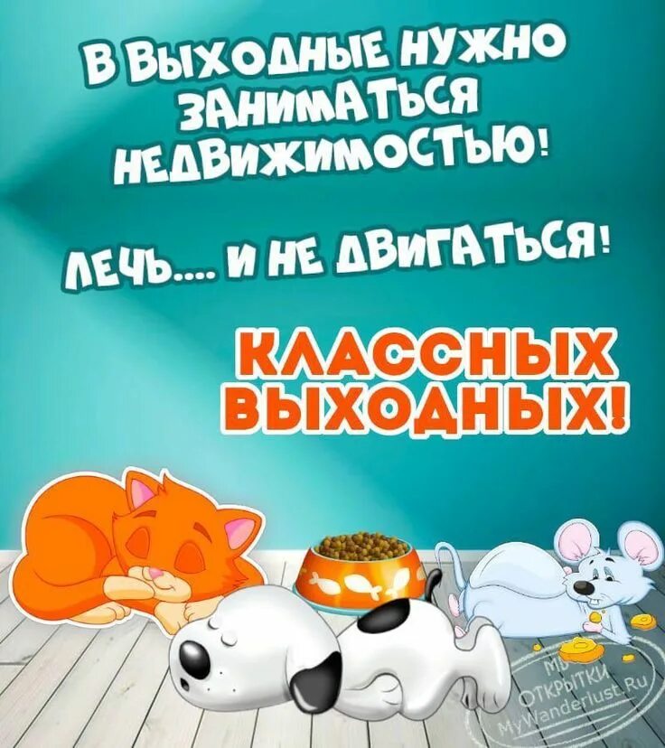 Праздничные выходные фото Пин от пользователя Ирина Фомченко на доске С ДОБРЫМ УТРОМ Веселые открытки, Юмо