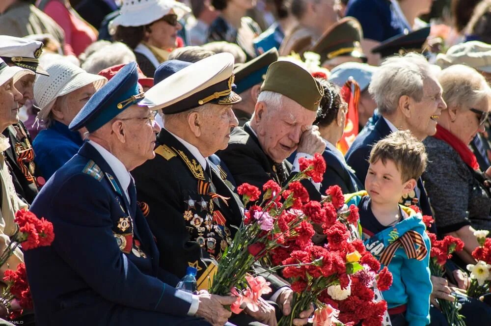 Праздник 9 мая фото Праздник "Под ярким солнцем Великой Победы" 2018, Каменский район - дата и место