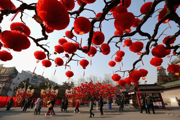 Праздник весны в китае фото Chinese New Year: The year of the snake