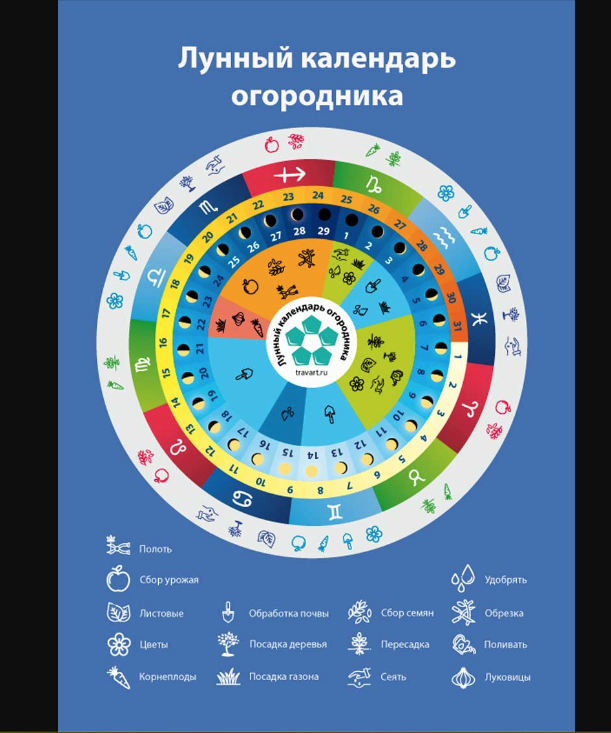 Праздники лунного календаря Комиссия по борьбе с лженаукой: Луна не влияет на жизнь человека Охрана рыбов Дз