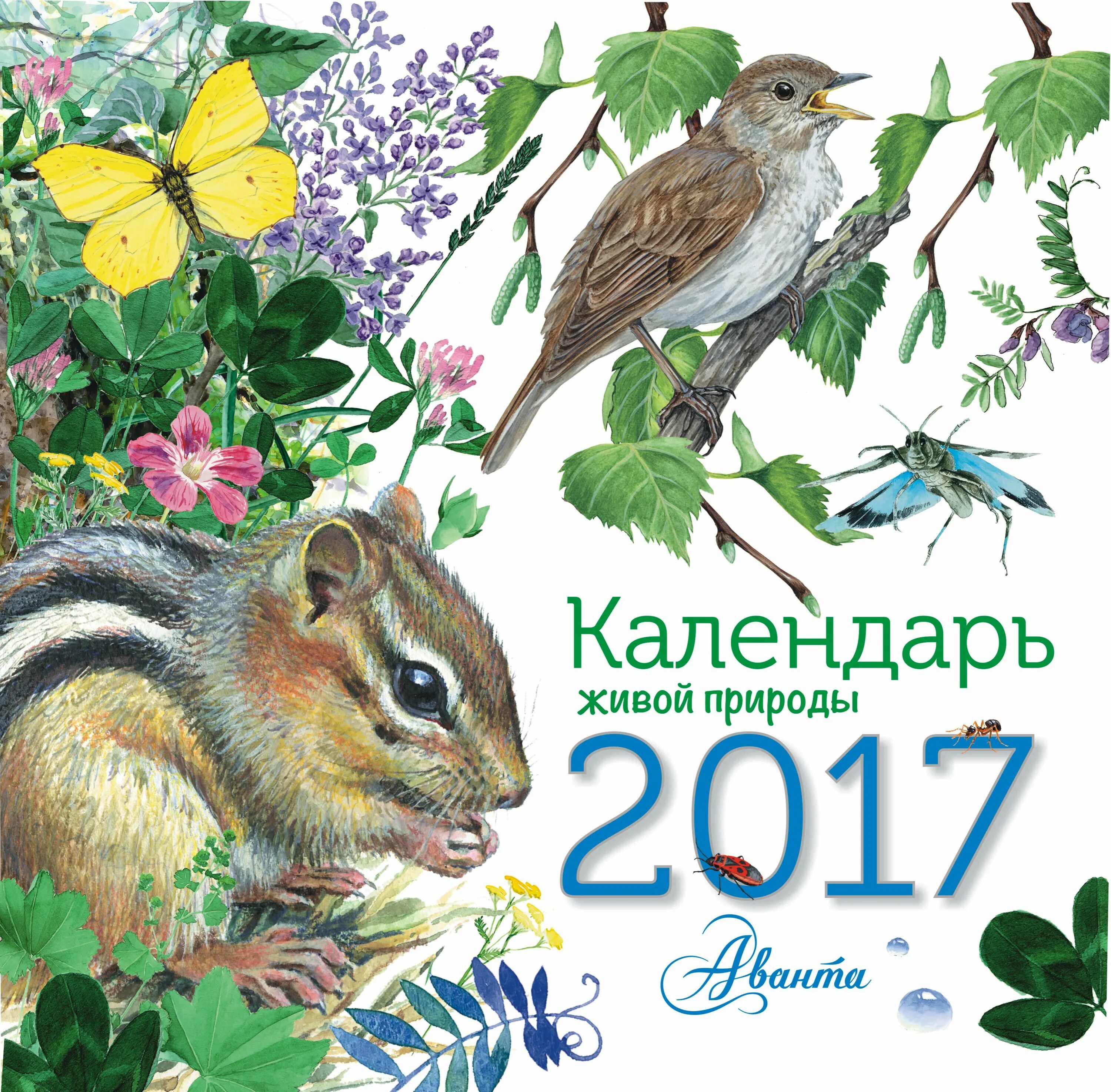 Праздники природы календарь Календарь 2017 Календарь живой природы