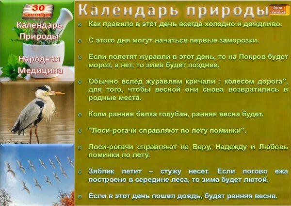 Праздники природы календарь День недели среда. - Копилочка: все самое интересное,полезное, красивое!!!, поль