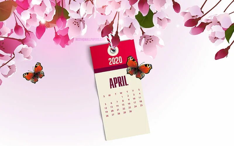 Праздники весеннего календаря 4K free download 2020 April Calendar, pink spring background, pink spring flower