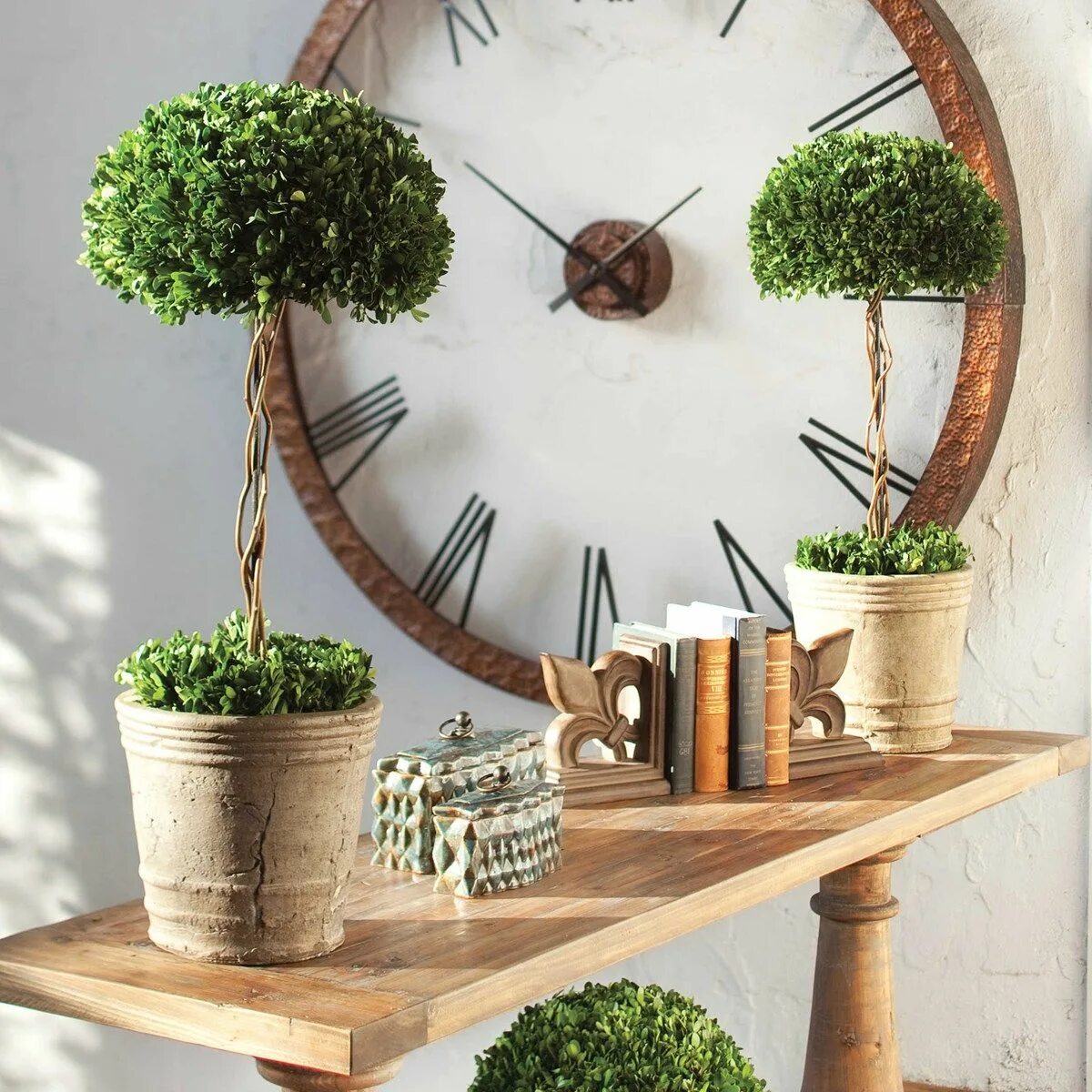 Предметы декора для дома Uttermost Tree Topiary Preserved Boxwood Preserved boxwood, Preserved boxwood to