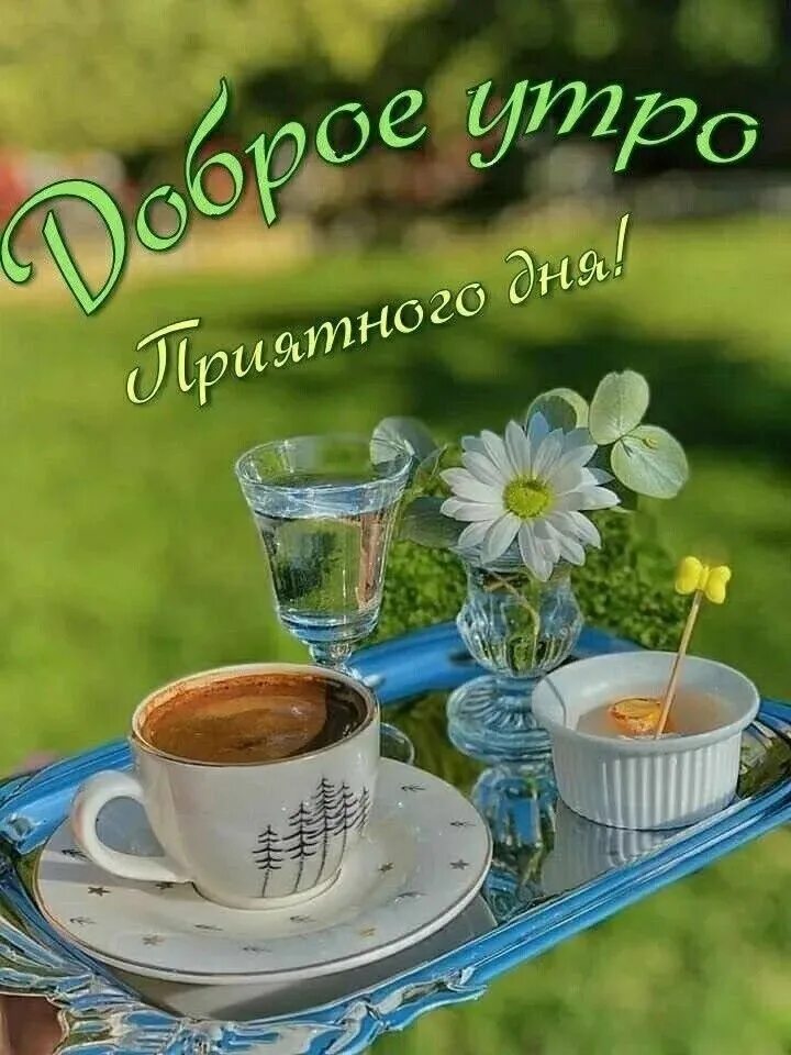 Прекрасное доброе утро фото Pin by OLGA on ДОБРОЕ УТРО Good morning, Glassware, Tableware