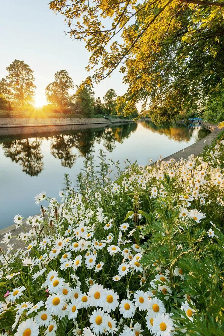 Прекрасного дня фото природы York In Bloom Пейзажи, Живописные пейзажи, Картины пейзажа