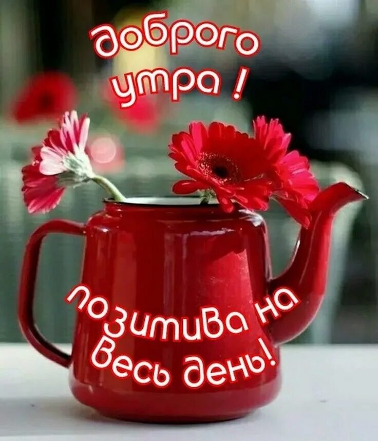 Прекрасного утра картинки прикольные новые Pin by Gulnara on ДОБРОЕ УТРО ! Привет !☕ ☕ Good morning gif, Good morning wishe