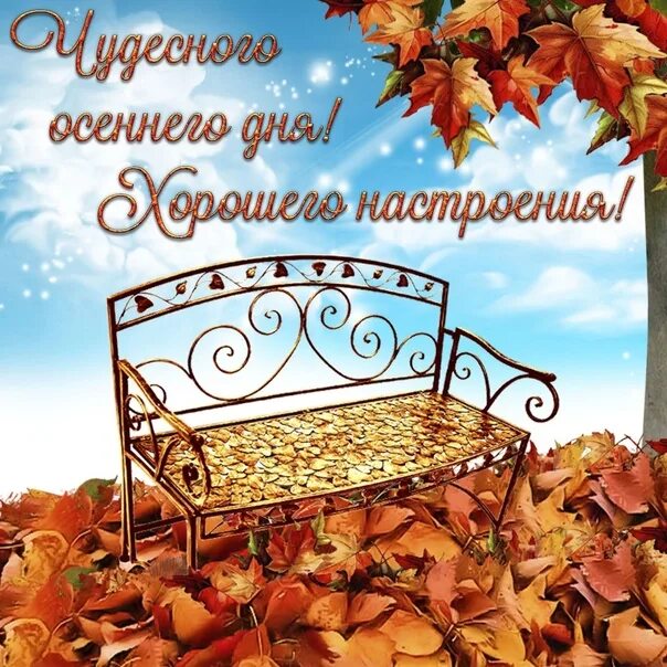 Прекрасной осени картинки с пожеланиями красивые необычные Happy Good Morning! Wonderful Day ! 2022 Красивые открытки 2022 VK