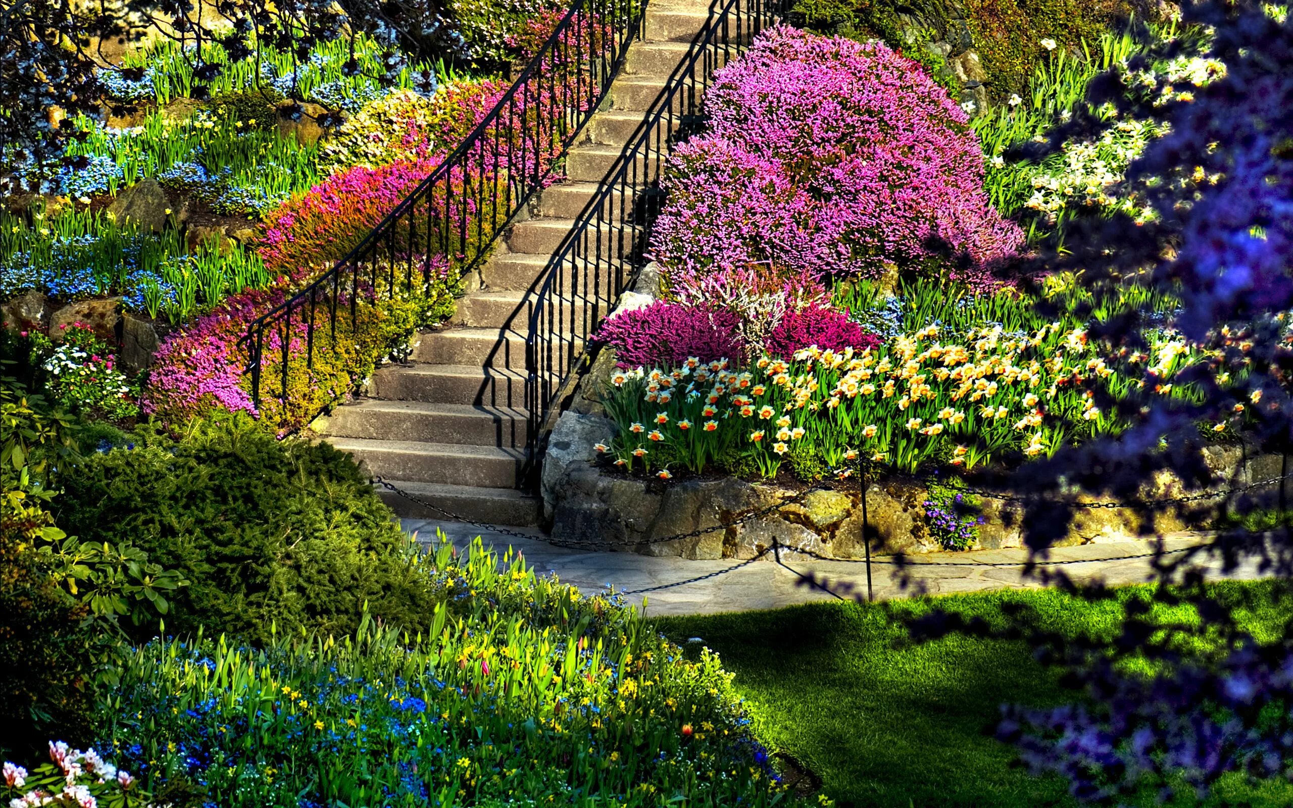 Прекрасный сад фото 225 Garden HD Wallpapers Backgrounds - Wallpaper Abyss - Page 2 Butchart gardens