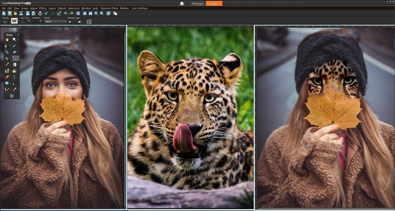 Преобразовать фото в лучшее качество Corel Reveals PaintShop Pro 2020 with Content-Aware 'SmartClone' and More Photog