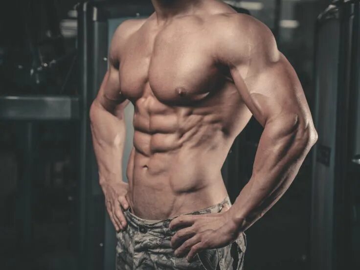 Пресс мужчины фото в домашних условиях Pin on Reference Male torso six pack, well built chest