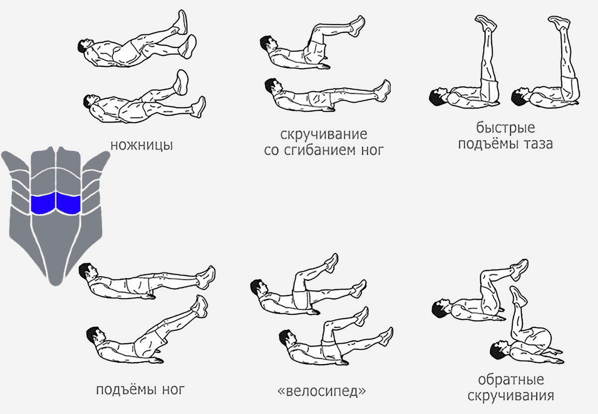 Пресс в домашних условиях своими руками 36 упражнений для пресса в домашних условиях Спорт Красота Дзен