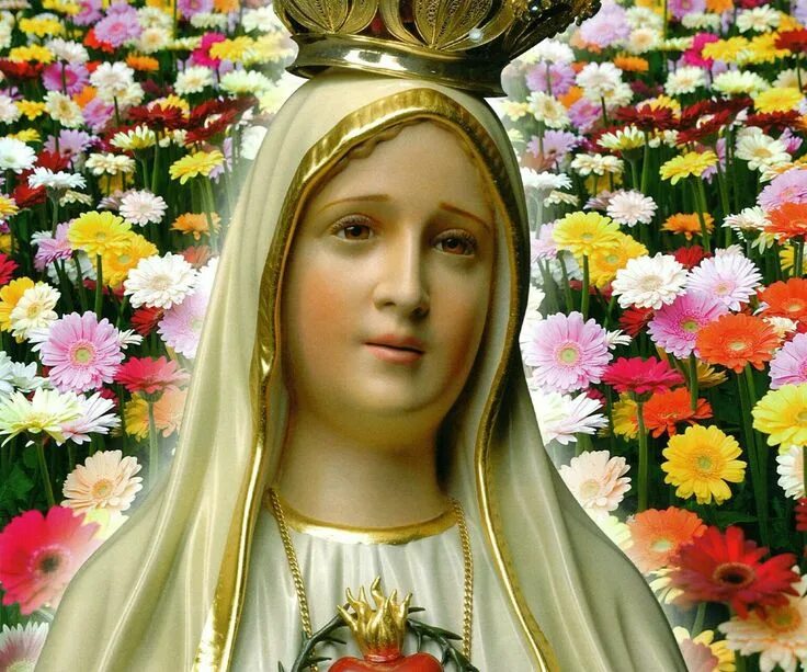 Пресвятая дева картинки Pin de Cordelia deoliveiraDuarte en flores Catolico, Virgencita, Imagen de crist