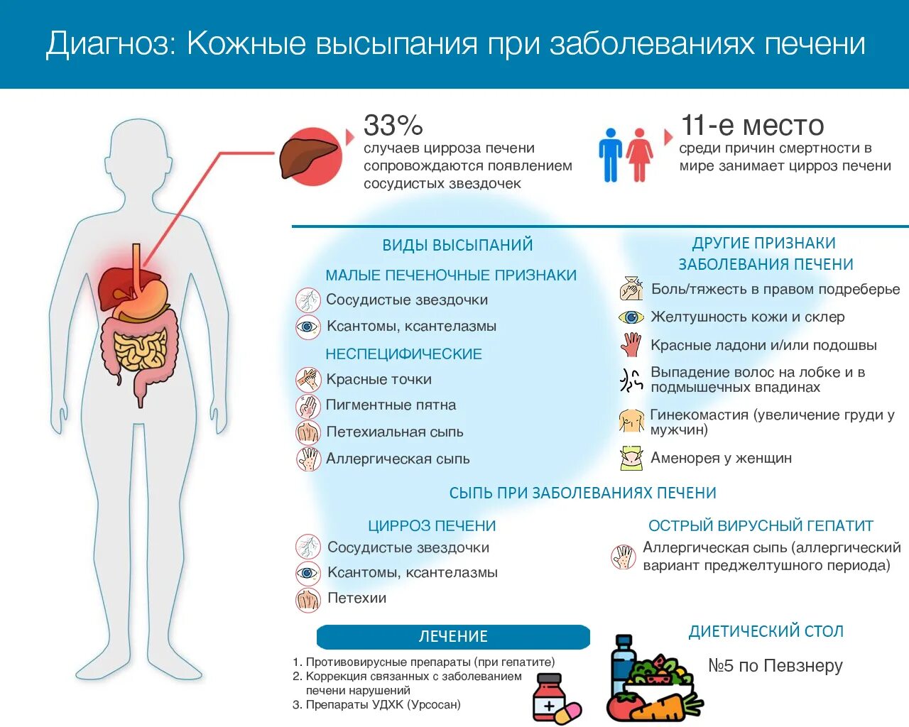 При болезнях печени на теле болезни фото Сыпь на коже при болезнях печени: виды высыпаний, причины