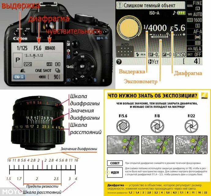 При какой диафрагме лучше снимать интерьер chto-takoe-viderzhka-v-fotoapparate Фотография для начинающих, Уроки фотосъемки,