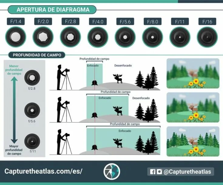 При какой диафрагме лучше снимать интерьер profundidad de campo y apertura como se relacionan Profundidad de campo fotograf