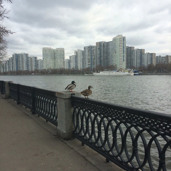 Причал кленовый бульвар москва нагатинская набережная фото Photos at Причал "Кленовый бульвар" - Pier in Москва