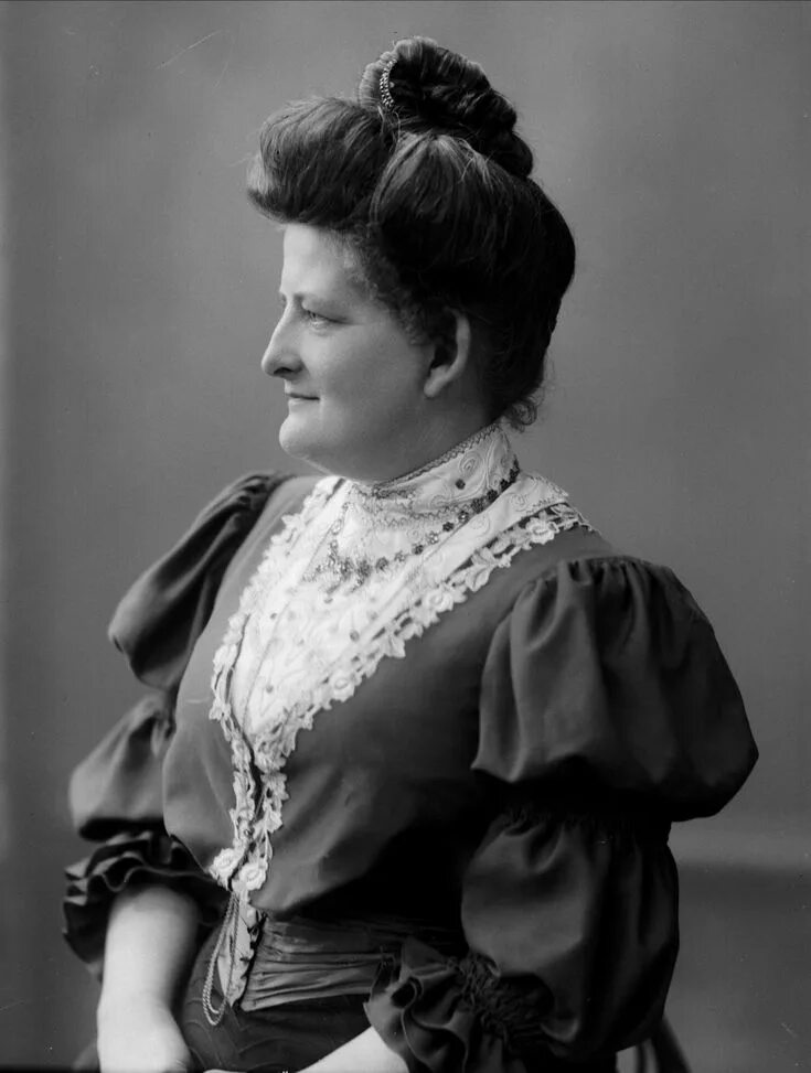 Прическа 1900 года NFB.10869 Gibson girl hair, Victorian hairstyles, Hairstyles 1900