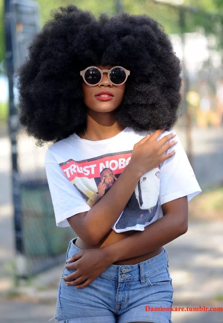 Прическа афро 18-15n-77-30w Natural hair styles, Natural hair inspiration, Afro hairstyles