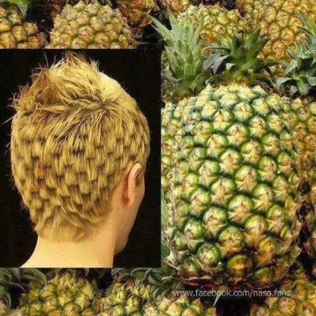 Прическа ананас мужская pineapple hair Mixing prints, Pineapple, Brave soul