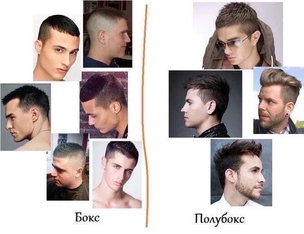 Прическа бокс и полубокс мужская фото отличия ✂ STRICK BOX - FROM SPORTS TO PEOPLE Haircut boxing is a universal and nowadays 