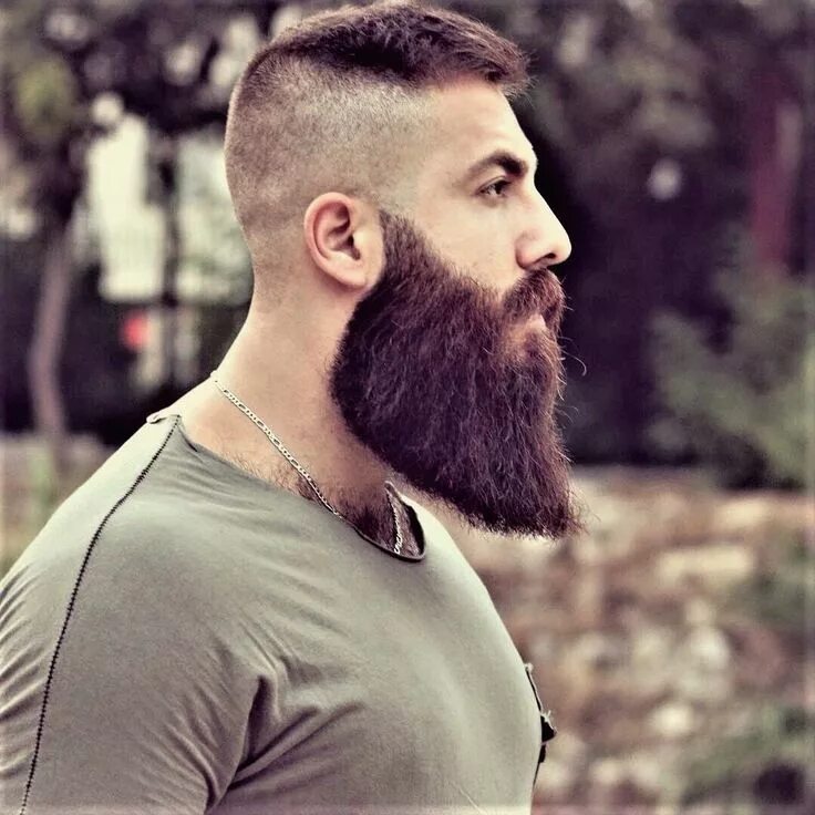 Прическа бороды фото Pin by Dani Jutzet on Bart haarschnitt Beard styles, Beard life, Epic beard