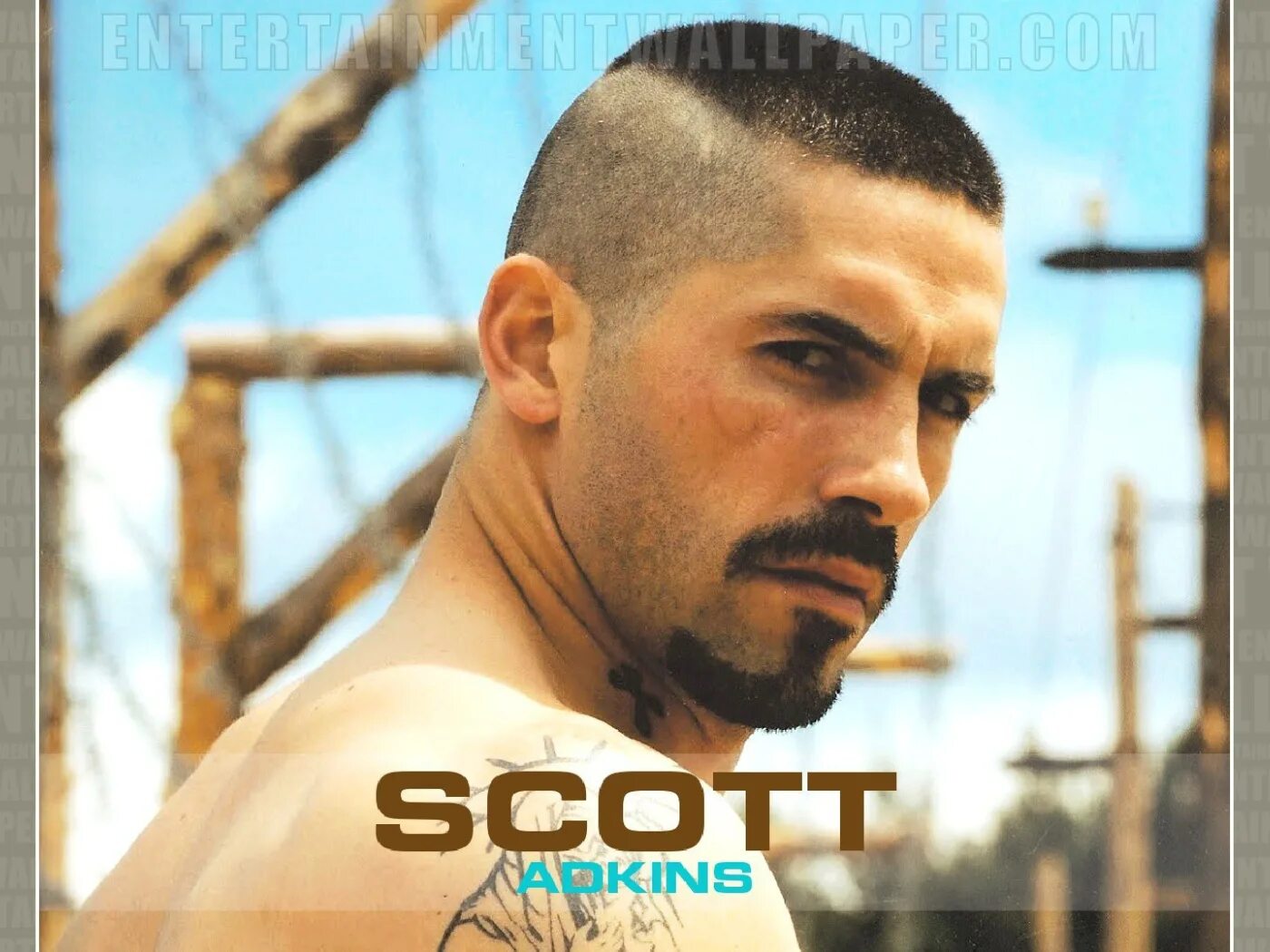 Прическа бойко фото Beloved Actor Scott Adkins Desktop wallpapers 1400x1050