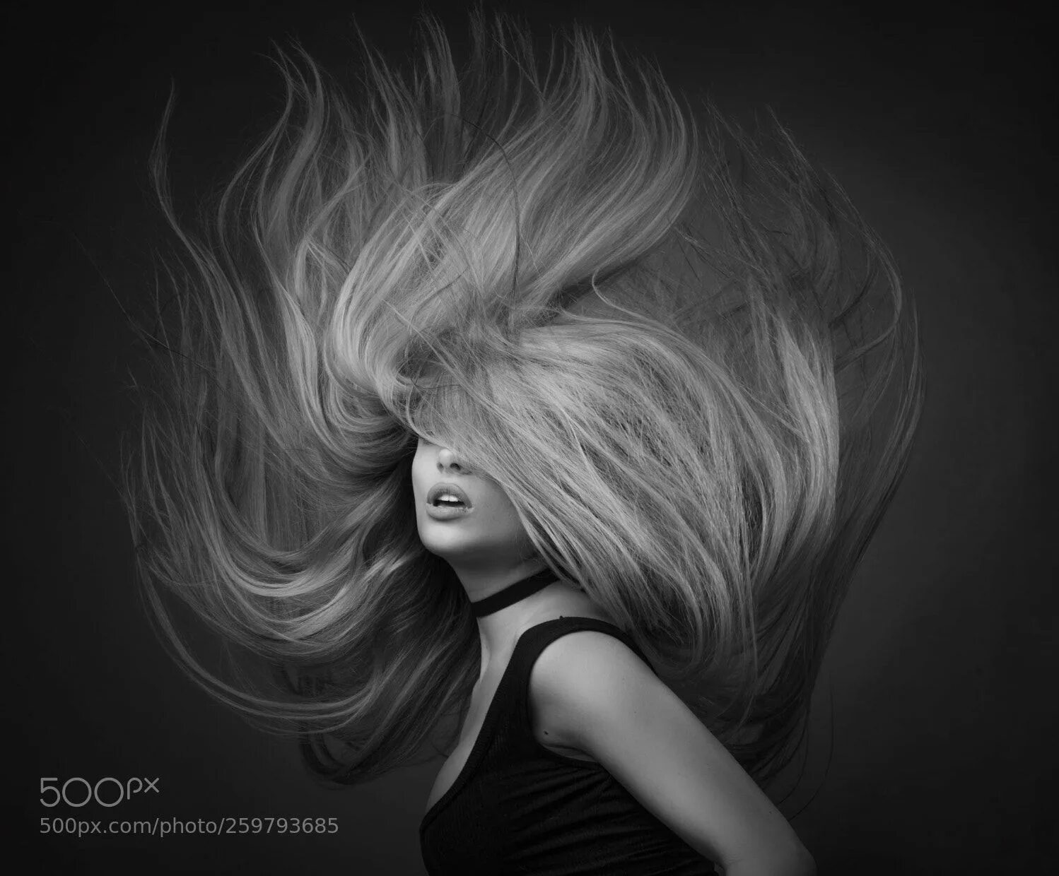 Прическа черно белые волосы Hair by joachimbergauer Popular Hair photography, Long hair styles, Hair