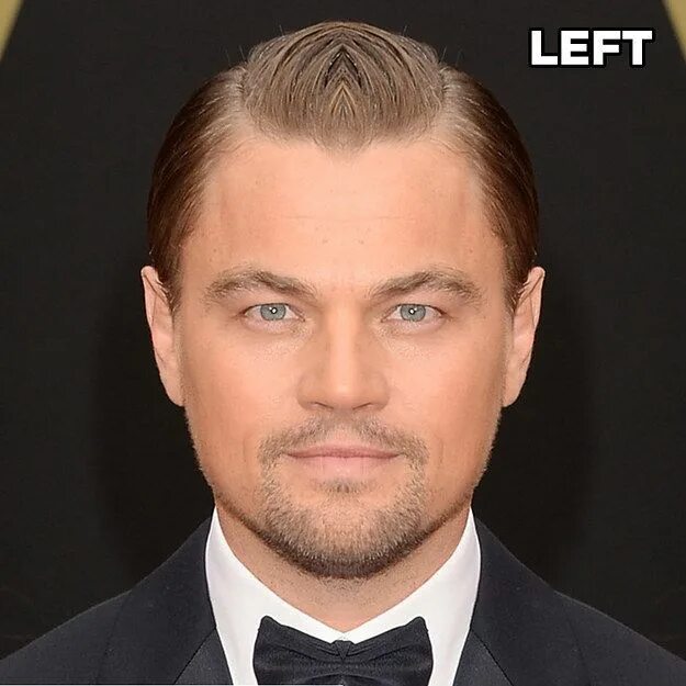 Прическа ди каприо Here's What 15 Celebs Would Look Like If Their Faces Were Symmetrical Celebs, We