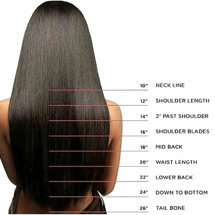 Прическа длина волос Pin by Janiceblocker63 on Hair goals Hair length chart, Hair lengths, Vitamins f