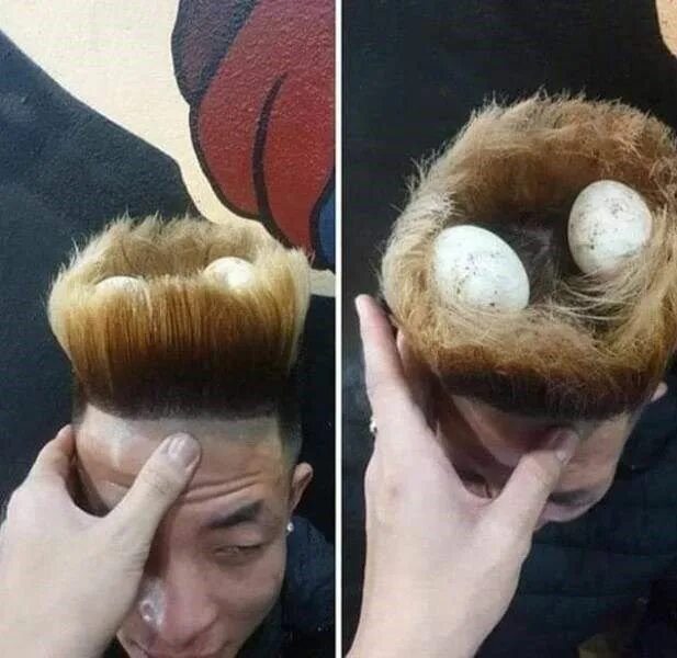 Прическа гнездо 29 Unfortunate Hairstyles Jam-Packed With Cringe Weird images, Haircut funny, Fu