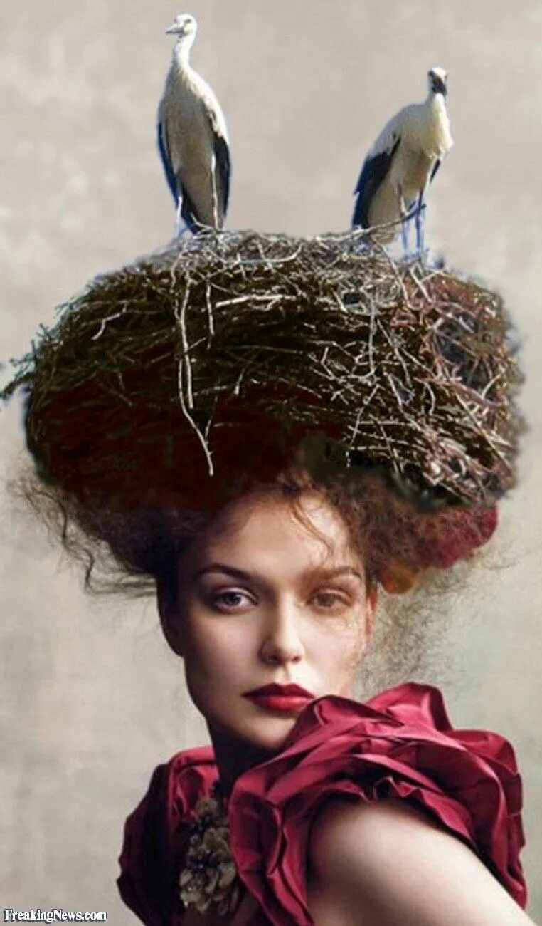 Прическа гнездо Bird-s-Nest-Hat Bird nest hair, Crazy hair, Feathered hairstyles