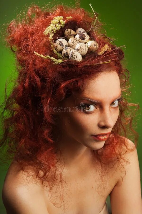 Прическа гнездо Nest instead of hairstyle stock image. Image of portrait - 22969365