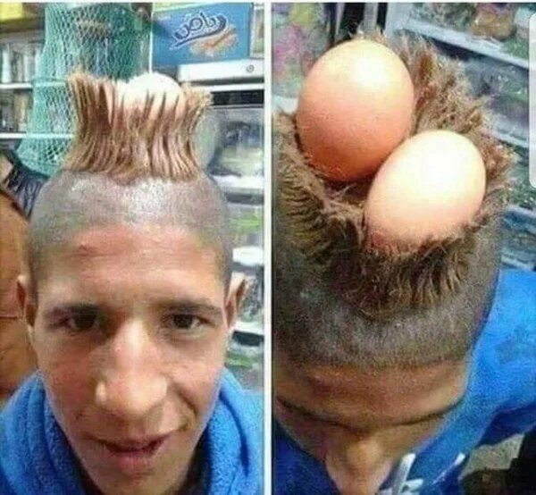 Прическа гнездо на голове мужская 35 Funny Pictures - Hairdos straight from barbershop Hell Hair humor, Hair cuts,