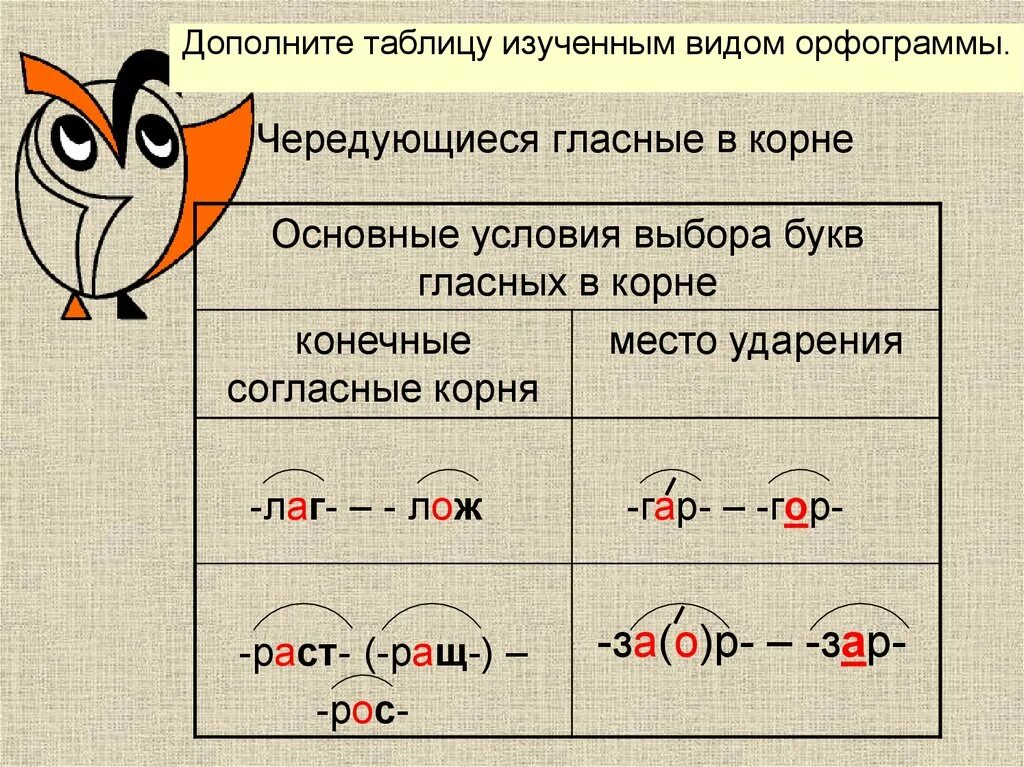 Прическа какая орфограмма Картинки ОРФОГРАММА ГЛАСНЫХ В СЛОВЕ