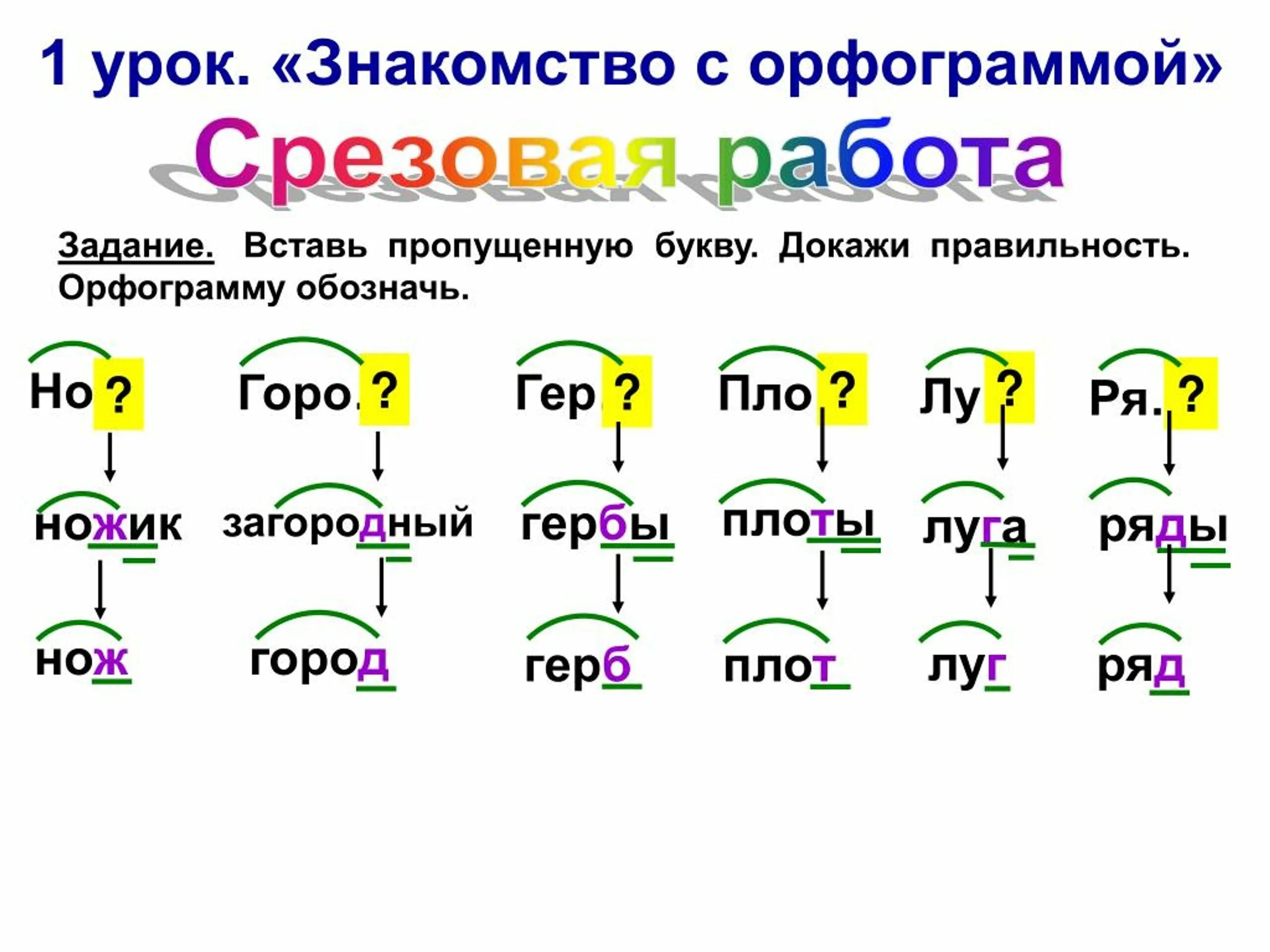 Прическа какая орфограмма Нож орфограмма