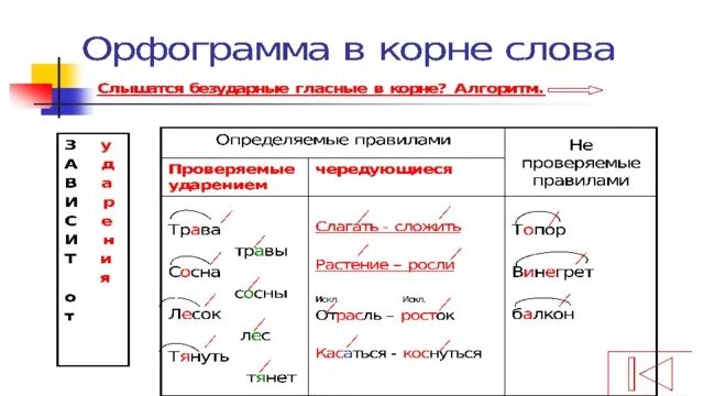 Прическа какая орфограмма "Орфография в схемах и таблицах"