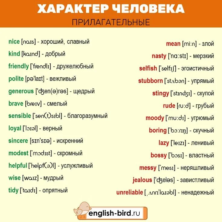 Прическа какая прилагательные Характер человека на английском Слова, Английский, Английский язык