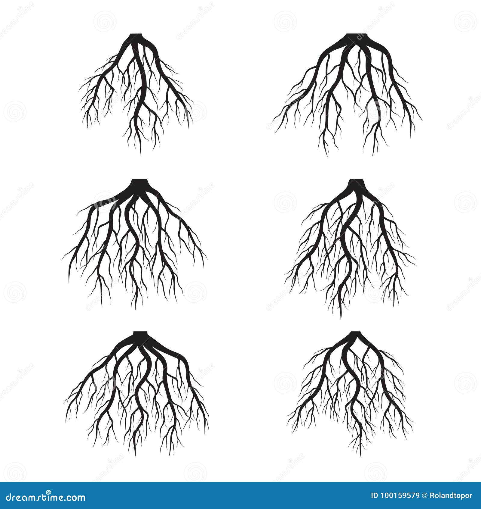 Прическа какой корень Set of Black Roots. Vector Illustration. Stock Illustration - Illustration of wa