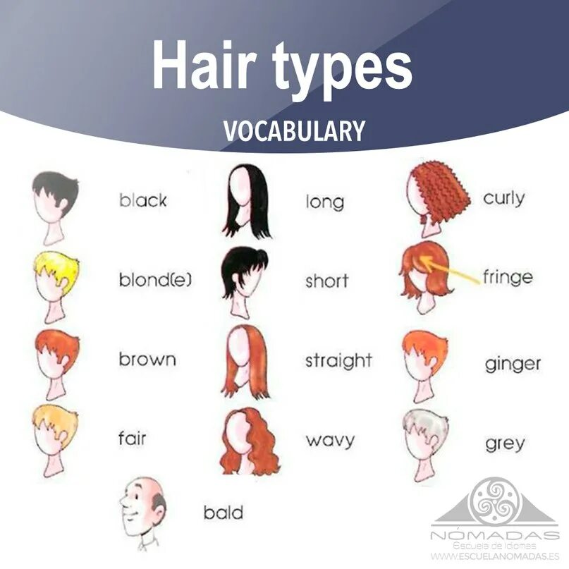 Прическа каре перевод на английский CEPT Practice: Boost your vocabulary about hair