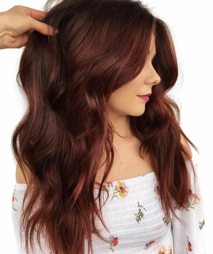 Прическа каштановые волосы 50 Shades of Burgundy Hair Color Trending in 2024 Hair color auburn, Burgundy ha