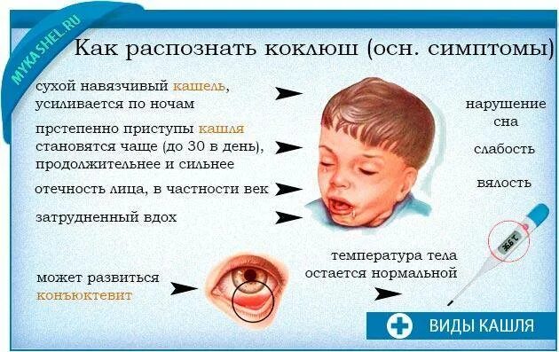 Прическа коклюш женская Как снять приступ коклюша