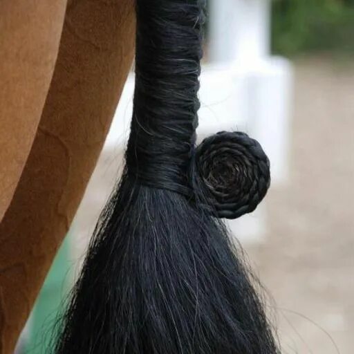 Прическа конского волоса High Hopes Low Heels Horse hair, Horse braiding, Horse grooming