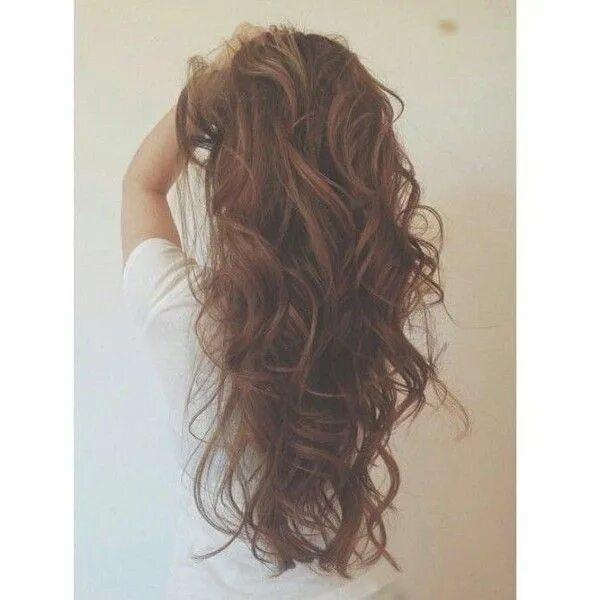 Прическа коричневые волосы длинные Curly Hair Highlights Tumblr 2016-2017 Long hair styles, Curly hair styles, Hair