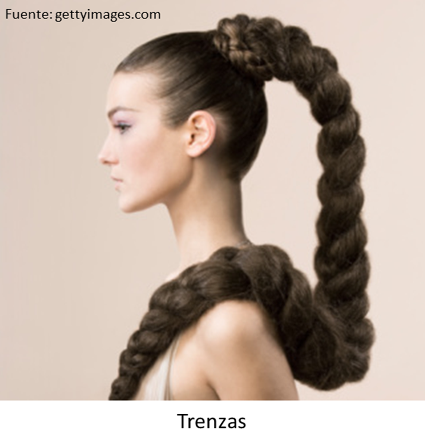 Прическа коса длинные волосы фото Trenzas Long hair styles, Huge hair, Extremely long hair