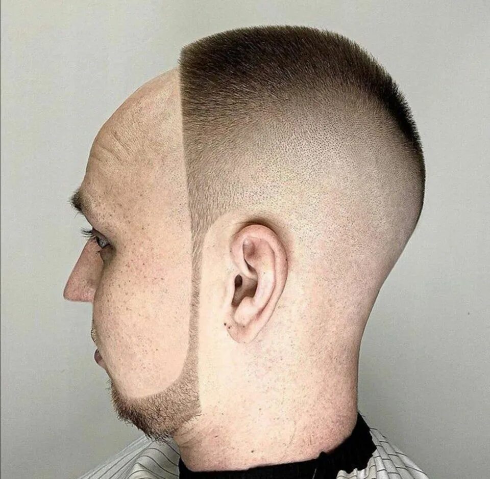 Прическа круг мужская This beard/haircut : ATBGE Haircut funny, Hair cuts, Weird haircuts