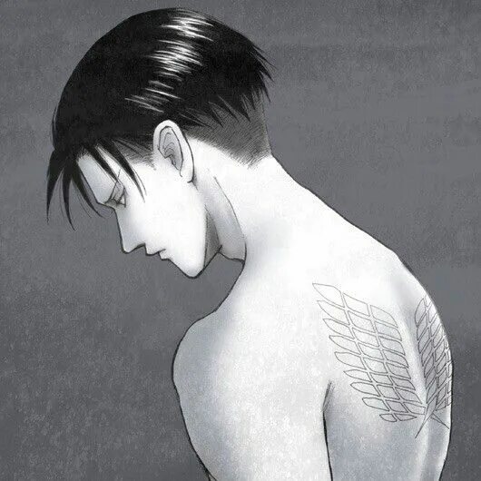 Прическа леви как сделать Pin on Levi Ackerman