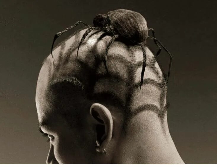 Прическа лист 15 Most Crazy and Funny Haircuts To Erase Social Life Creative hairstyles, Crazy