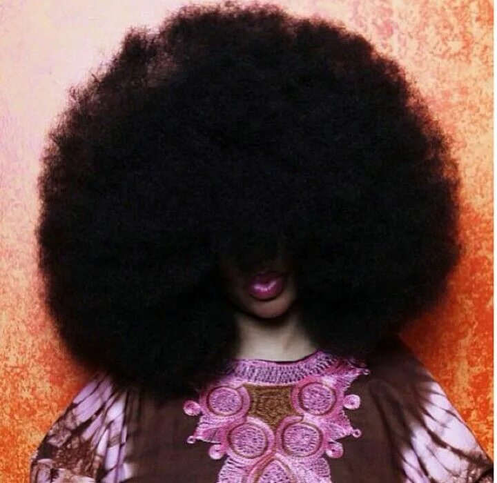 Прическа лохматые волосы World's Largest afro Big afro, Natural hair styles, Afro hair art