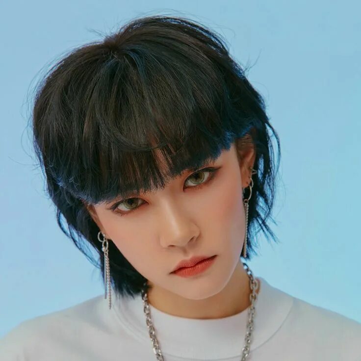 Прическа маллет на короткие волосы GWSN °`✧ Miya ✧`° in 2020 Punk hair, Aesthetic hair, Mullet hairstyle